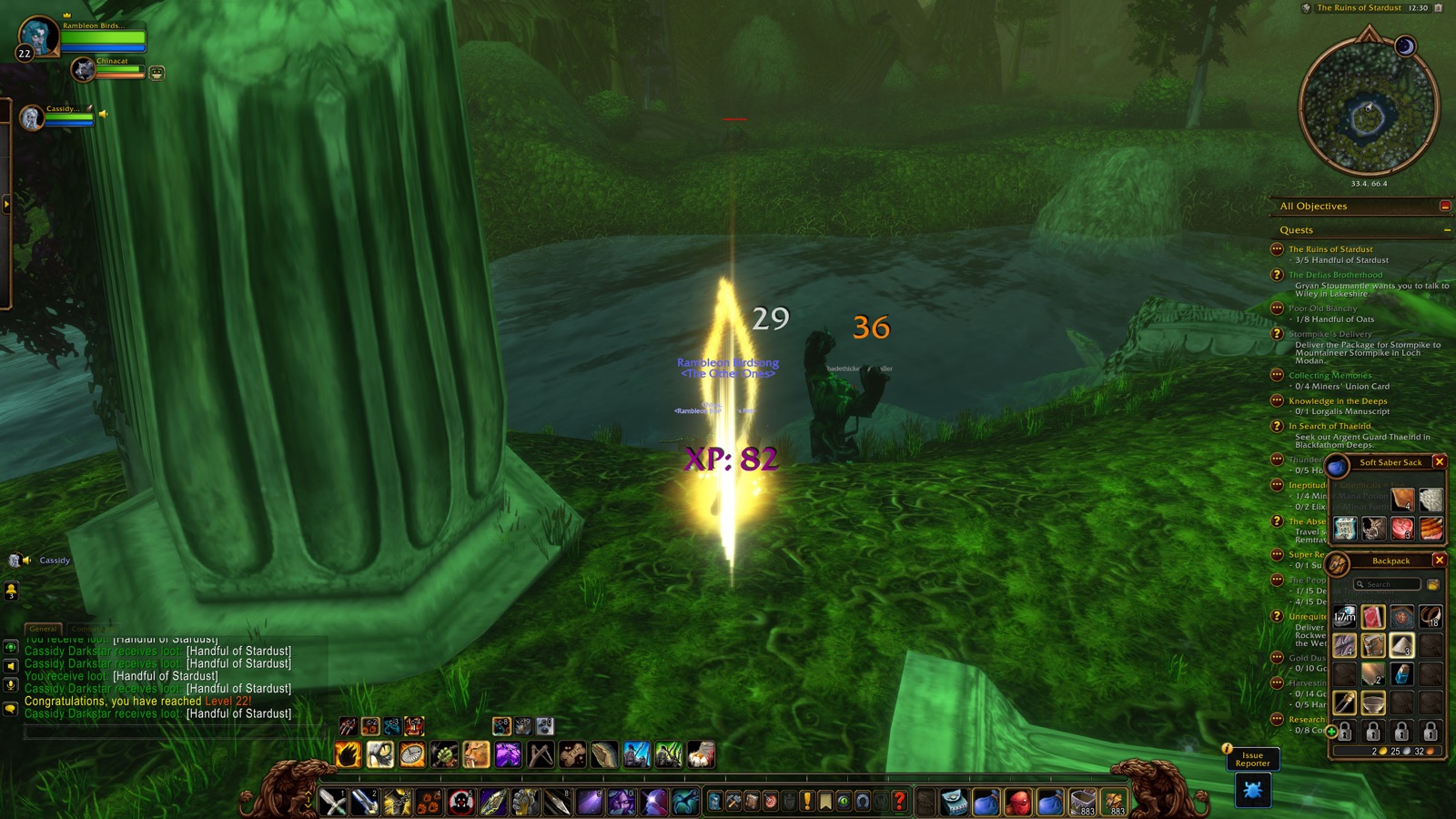 Reached Level 22 in The Ruins of Stardust